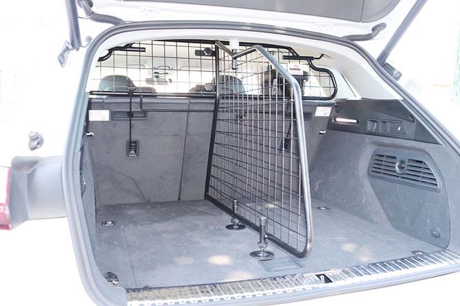 Main Image Dog guard and divider - Audi Q8 e-tron / e-tron 50/55/60