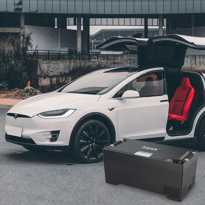 Main Image Tesla Model X 40 L integrated cooler/freezer